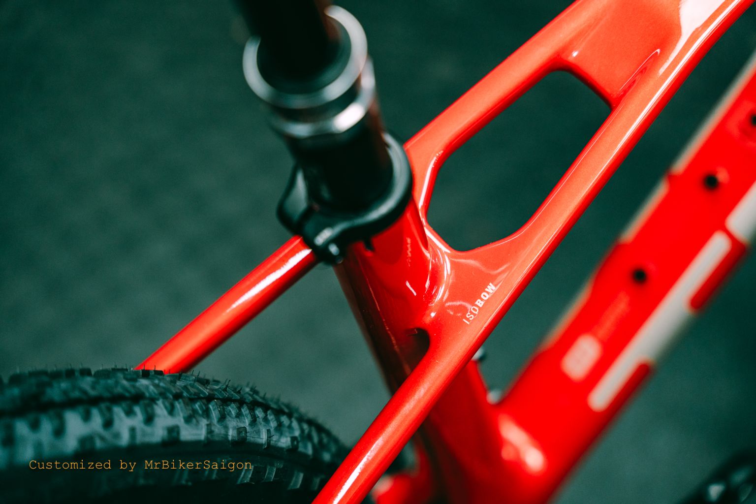 So sánh Trek Procaliber 6 và Procaliber 9.5 – Đâu là lựa chọn hợp lý?