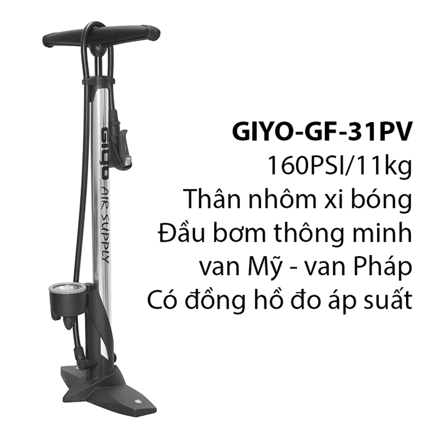 Bơm Giyo GF-31P