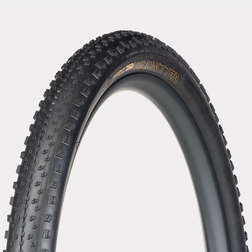 Vỏ 29x2.4 Bontrager Vallnord RSL XR TLR